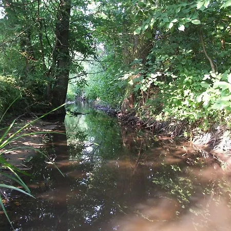 Winnica Avra Szydlow